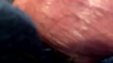 hotdog1124 online show from 01/06/25, 01:09