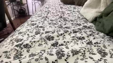 Annabelle online show from 02/04/26, 12:05