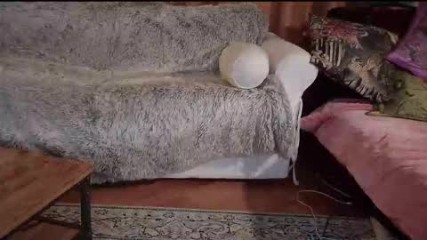 Betty boob online show from 10/31/25, 08:21