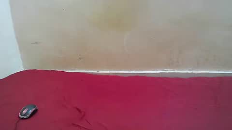 hotpussy1225 online show from 11/10/25, 08:13