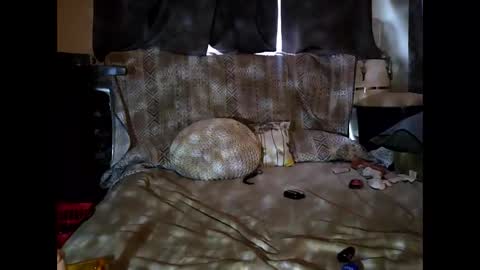 Snapshot of hotrox6942 chatting on 09/24/25, 10:51 hotrox6942 online show from 09/24/25, 10:51