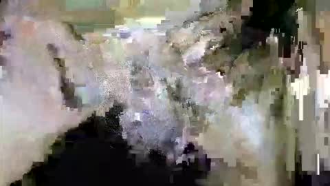 HotShavedCockSoCal online show from 02/25/26, 07:07