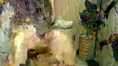 hottestloues online show from 04/26/26, 02:59