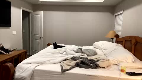 hottiewithabody101 online show from 11/11/25, 06:30