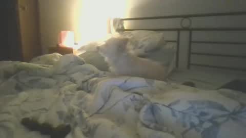 Snapshot of hottnready4u chatting on 01/05/25, 01:26 Hottnready4u online show from 01/05/25, 01:26