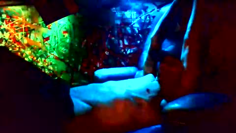 ask me online show from 01/12/25, 11:28