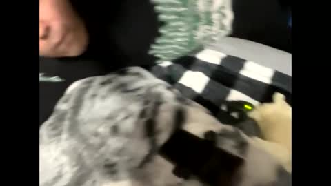 Snapshot of htfsb chatting on 02/15/26, 01:57 htfsb online show from 02/15/26, 01:57