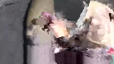 Huge dick online show from 12/02/25, 06:03