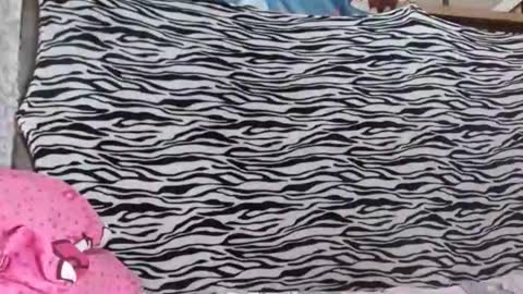 bella    passwordshow 500tokens  no time limit online show from 10/19/25, 01:56