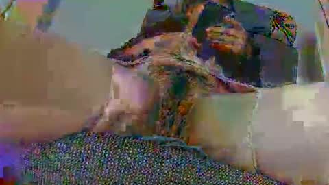 hujiajia520321431 online show from 11/10/25, 11:53