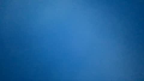 hummelbummel00 online show from 02/11/26, 07:19