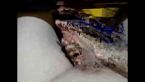 Snapshot of hung_mac0 chatting on 02/17/26, 02:13 hung_mac0 online show from 02/17/26, 02:13