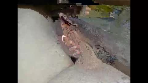 Snapshot of hung_mac0 chatting on 02/25/26, 02:27 hung_mac0 online show from 02/25/26, 02:27