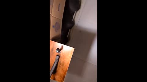 hungitalian40 online show from 02/12/26, 09:37