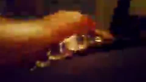 Snapshot of hungnhard1991 chatting on 07/23/26, 05:11 Aussieboy69 online show from 07/23/26, 05:11