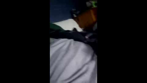 hunk1987_ online show from 04/12/26, 09:53