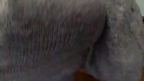 Goddess Hunyy online show from 03/01/25, 10:10