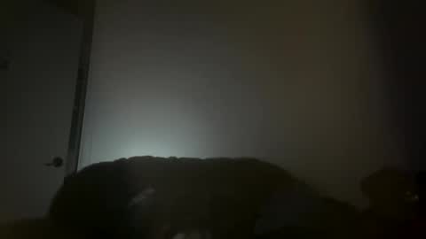 hustlemacc online show from 11/16/25, 02:11