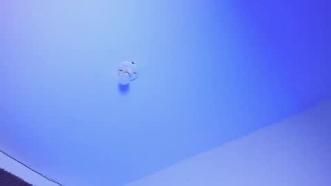 NAHO online show from 10/01/25, 03:12