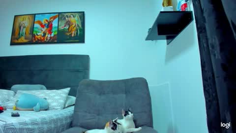 iam_your_fantasy online show from 02/01/26, 09:13