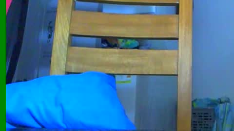 Samuel igsamuelnoguera 1333 online show from 12/01/24, 10:10