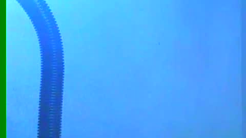 Samuel igsamuelnoguera 1333 online show from 12/18/24, 10:35