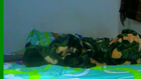 Samuel igsamuelnoguera 1333 online show from 12/26/24, 02:33