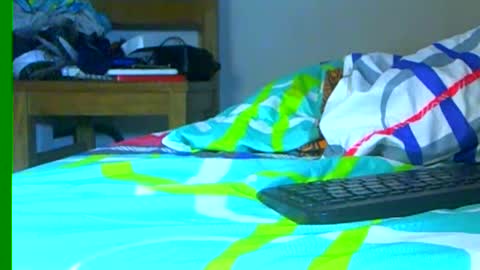 Samuel igsamuelnoguera 1333 online show from 12/28/24, 10:02