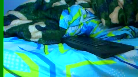 Samuel igsamuelnoguera 1333 online show from 01/19/25, 06:32