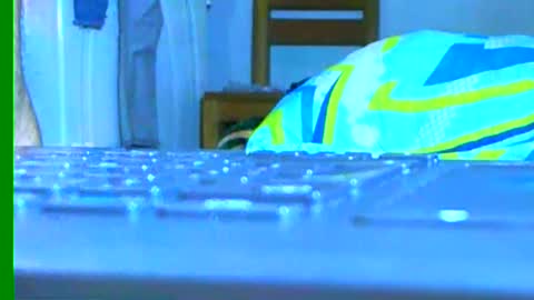 Samuel igsamuelnoguera 1333 online show from 01/26/25, 12:26