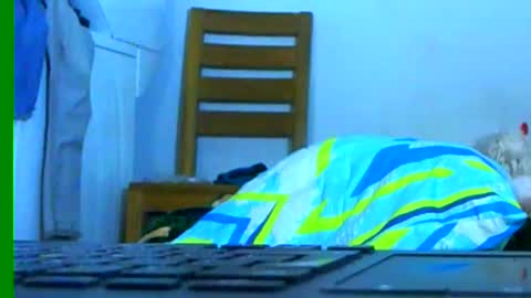 Samuel igsamuelnoguera 1333 online show from 01/26/25, 03:27