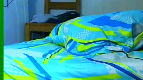 Samuel igsamuelnoguera 1333 online show from 01/26/25, 08:45