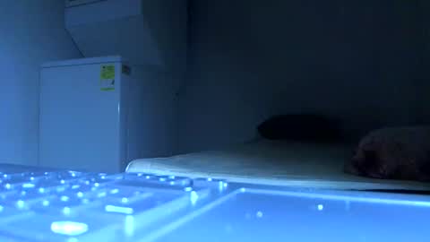 Samuel igsamuelnoguera 1333 online show from 10/21/25, 06:52