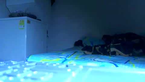 Samuel igsamuelnoguera 1333 online show from 10/24/25, 04:09