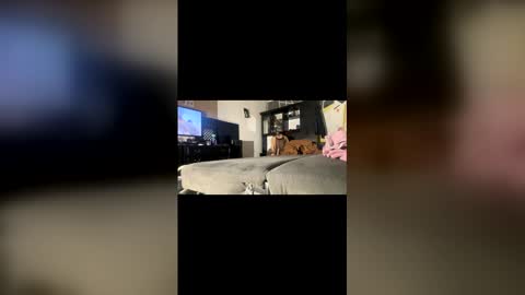 ibigboy666 online show from 04/20/26, 12:57