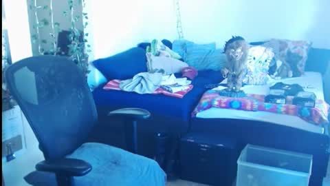 PMS online show from 02/24/25, 05:42