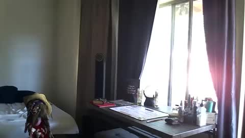 PMS online show from 10/13/25, 03:45