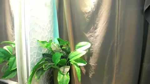 Snapshot of icy_heartxoxox chatting on 02/03/26, 06:35 Heart online show from 02/03/26, 06:35