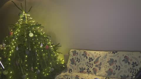 Snapshot of ifyouleave chatting on 01/04/25, 04:11 Belle online show from 01/04/25, 04:11