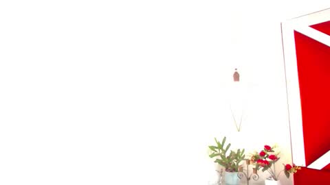 Isabella online show from 11/14/25, 07:56