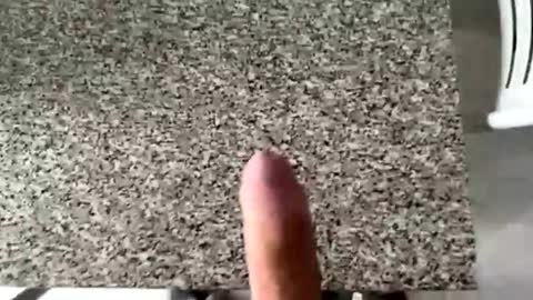 ilconte81 online show from 03/10/26, 02:33