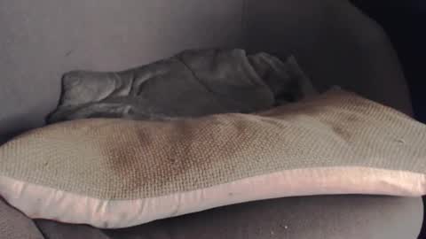 Snapshot of ilgiveuthemarathon chatting on 10/25/25, 05:15 MR Marathon online show from 10/25/25, 05:15