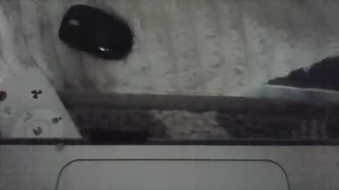 iloveitall86 online show from 04/19/26, 06:10