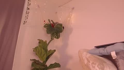 Snapshot of im__kaia chatting on 01/09/26, 07:59 Kaia online show from 01/09/26, 07:59