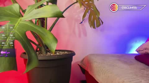 Snapshot of im_bryan chatting on 02/12/25, 05:47 Bryan online show from 02/12/25, 05:47