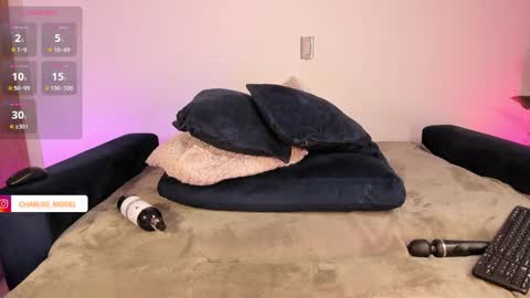 Snapshot of im_charliee chatting on 01/24/25, 06:04 charlie online show from 01/24/25, 06:04