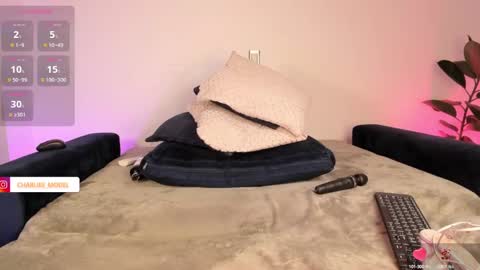 Snapshot of im_charliee chatting on 02/01/25, 11:37 charlie online show from 02/01/25, 11:37