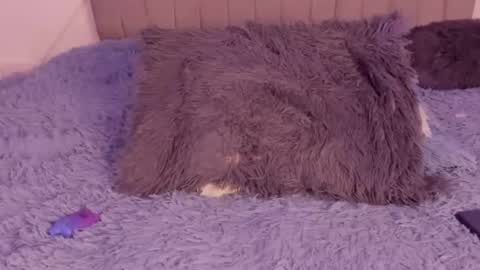 im tiffany  online show from 03/05/26, 04:19