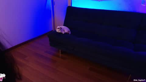 TAYLOR  online show from 10/24/25, 01:03