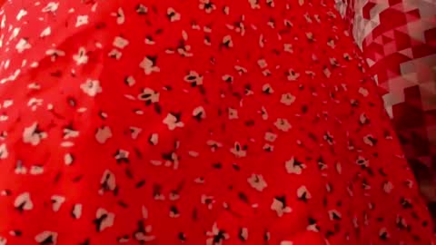 Melissa No Baby or bb sexy etc... online show from 02/13/25, 09:06